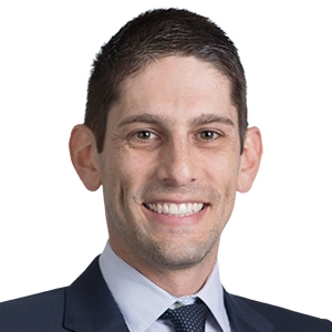 David Lipton Dr., USA