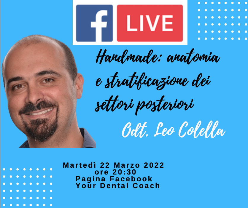 Anatomia e stratificazione dei settori posteriori