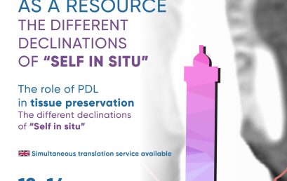 The PDL as a resource, the different declinations of Self in Situ
